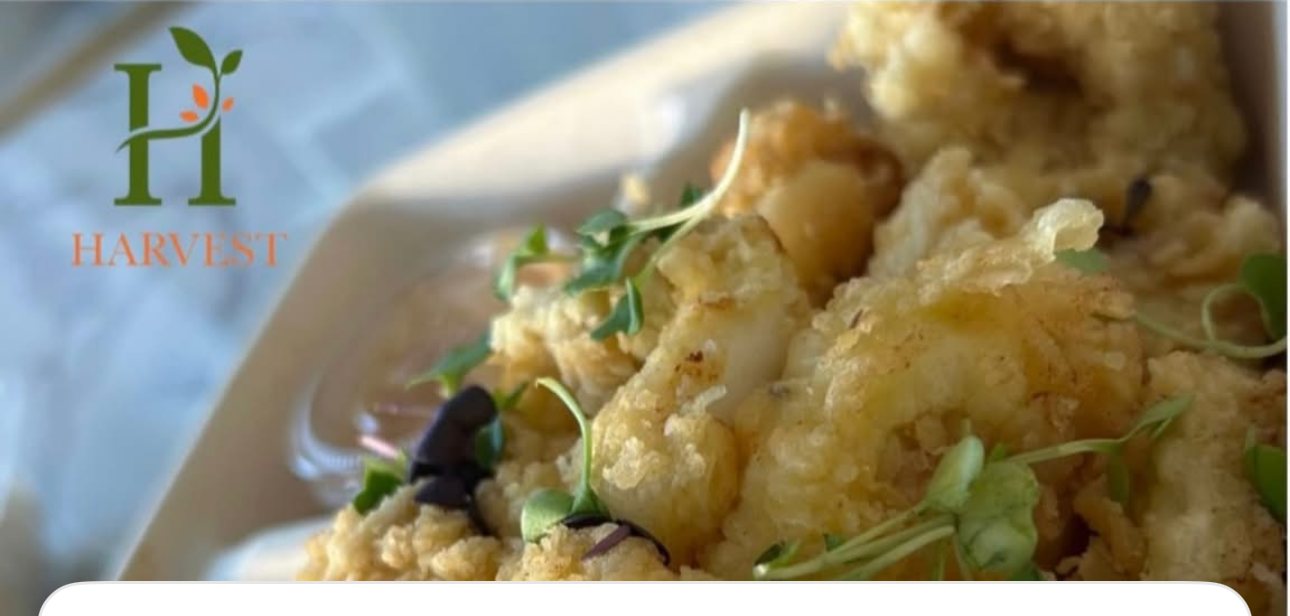 Crispy calamari at Harvest Cafe