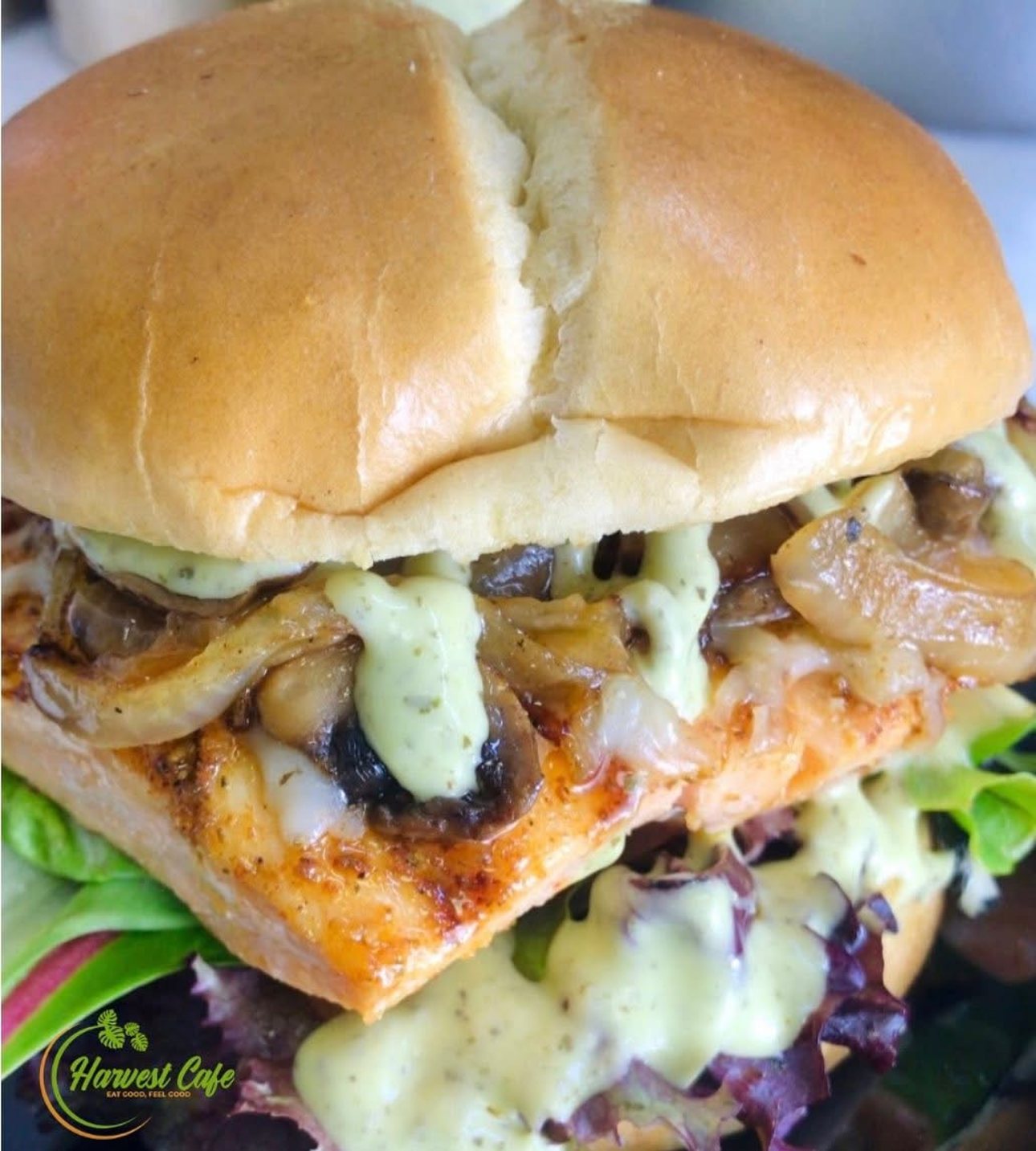Grilled Salmon Burger on a brioche bun at Harvest Cafe Nassau
